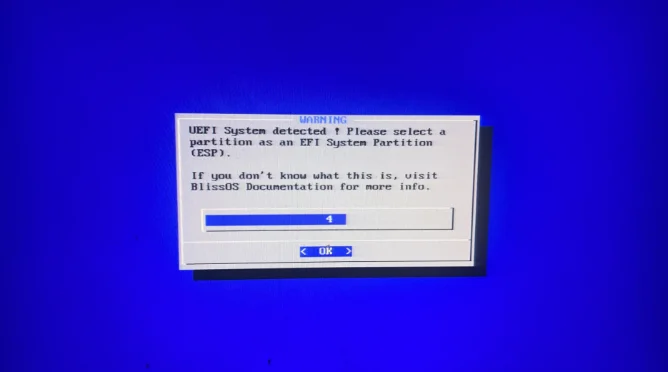 Bliss OS EFI hatası veriyor